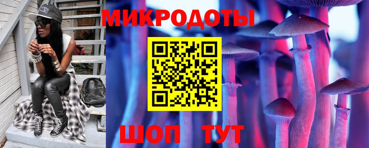 Псилоцибиновые грибы Cubensis  Вход с VPN  Советск 