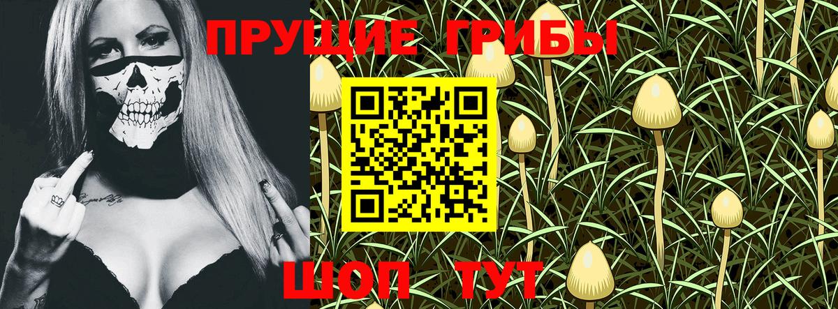 Галлюциногенные грибы Magic Shrooms Советск