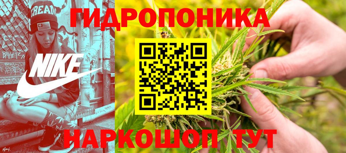 Бошки марихуана семена Советск